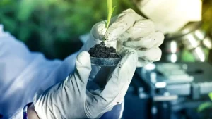 Bioinsumos agrícolas