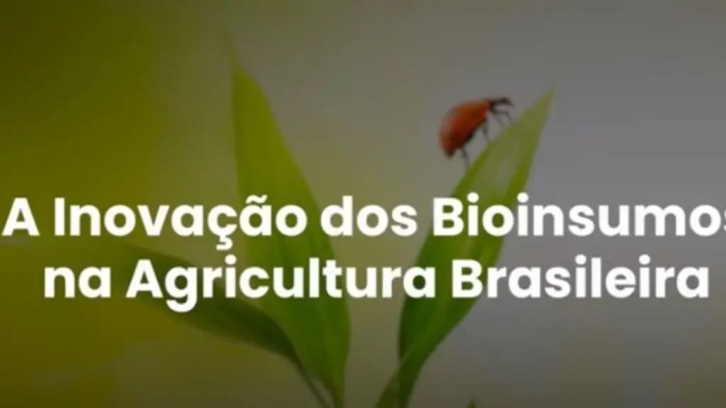 Inovação em bioinsumos