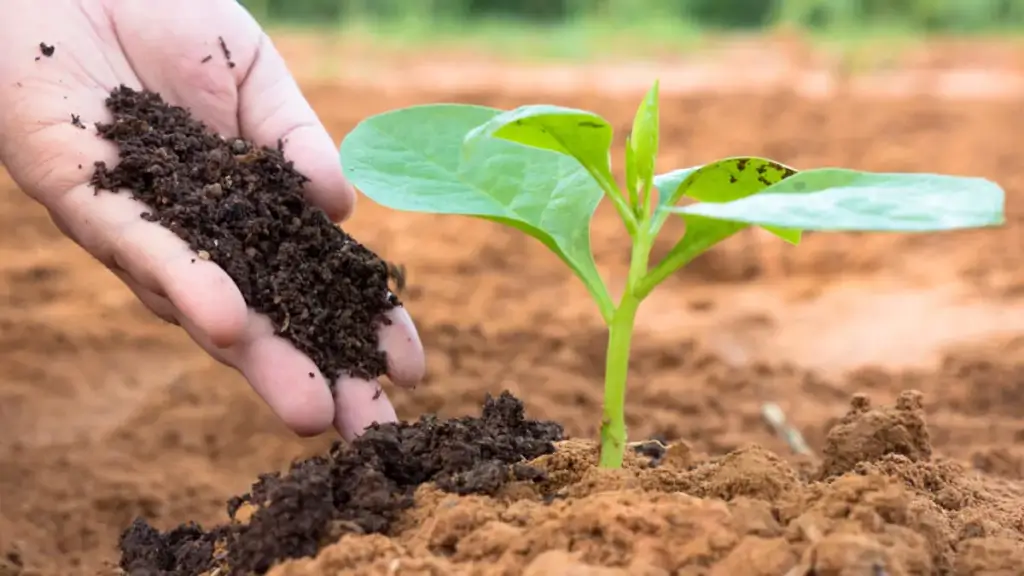 Produtos biológicos para agricultura