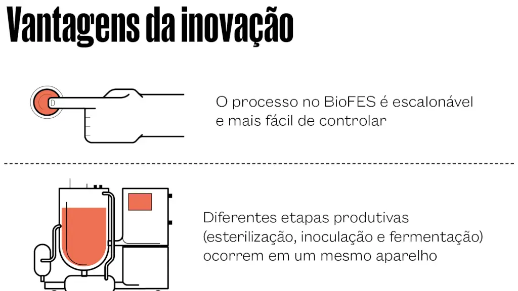 Sistemas de fermentação para bioinsumos